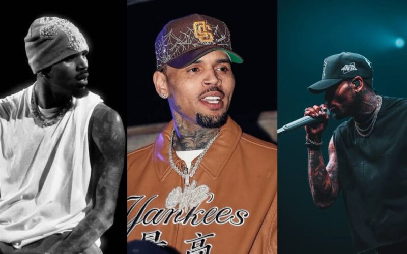 Chris Brown Net Worth